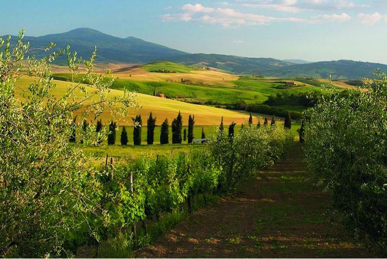 Le Traverse Pienza Eksteriør billede